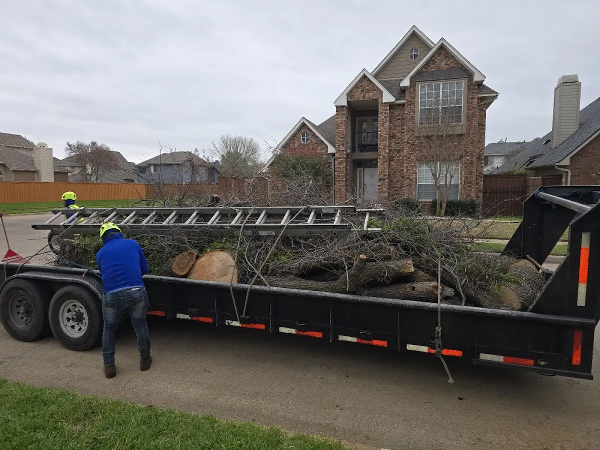 Expert Lot Clearing with proper safety equipment in Jamestown